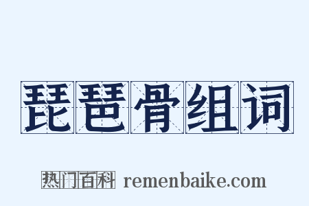 琵琶骨组词是什么意思的图片